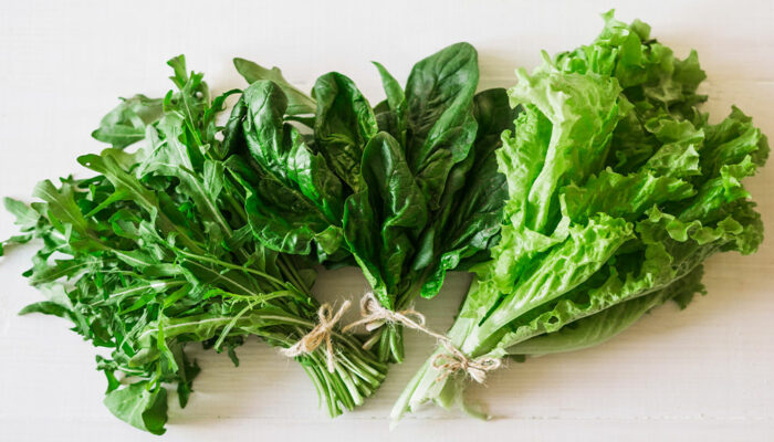 Foods to eat and avoid for improved kidney health