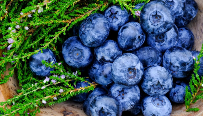 Hyperkalemia – Causes and Management Options