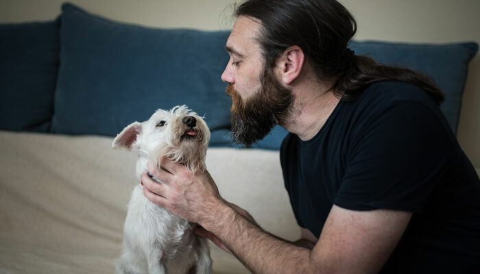 Ways to Decode Canine Communication with Humans