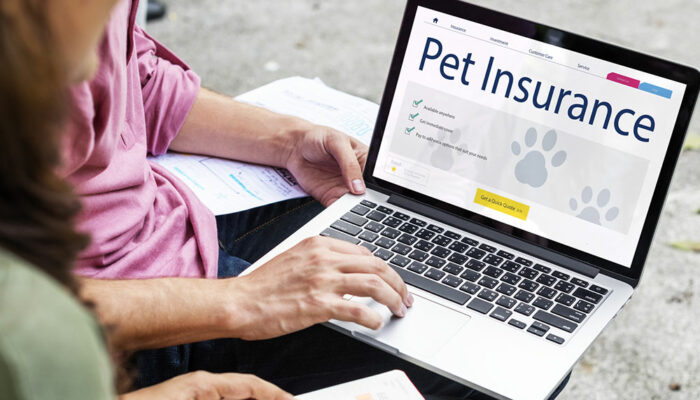 10 mistakes to avoid when buying pet insurance