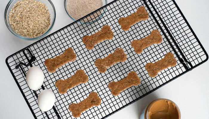 11 wholesome homemade treats for pet dogs