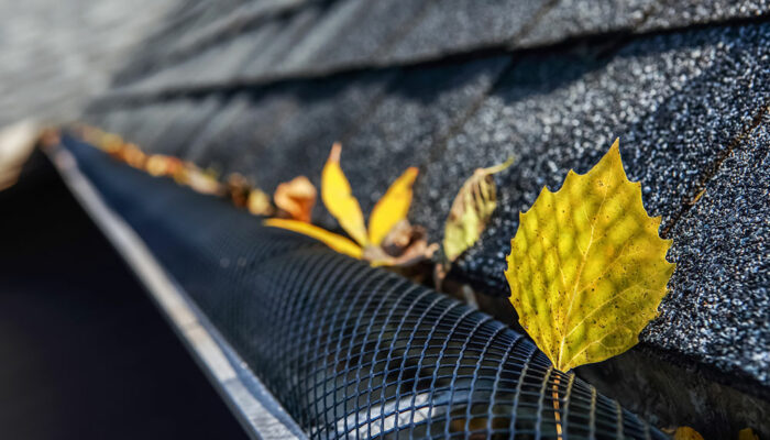 6 best types of gutter guards for home