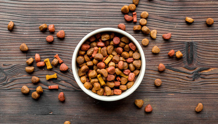8 tips for buying the best dog foods