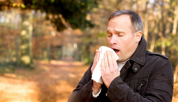 Tree pollen allergy – Symptoms, types, and management tips